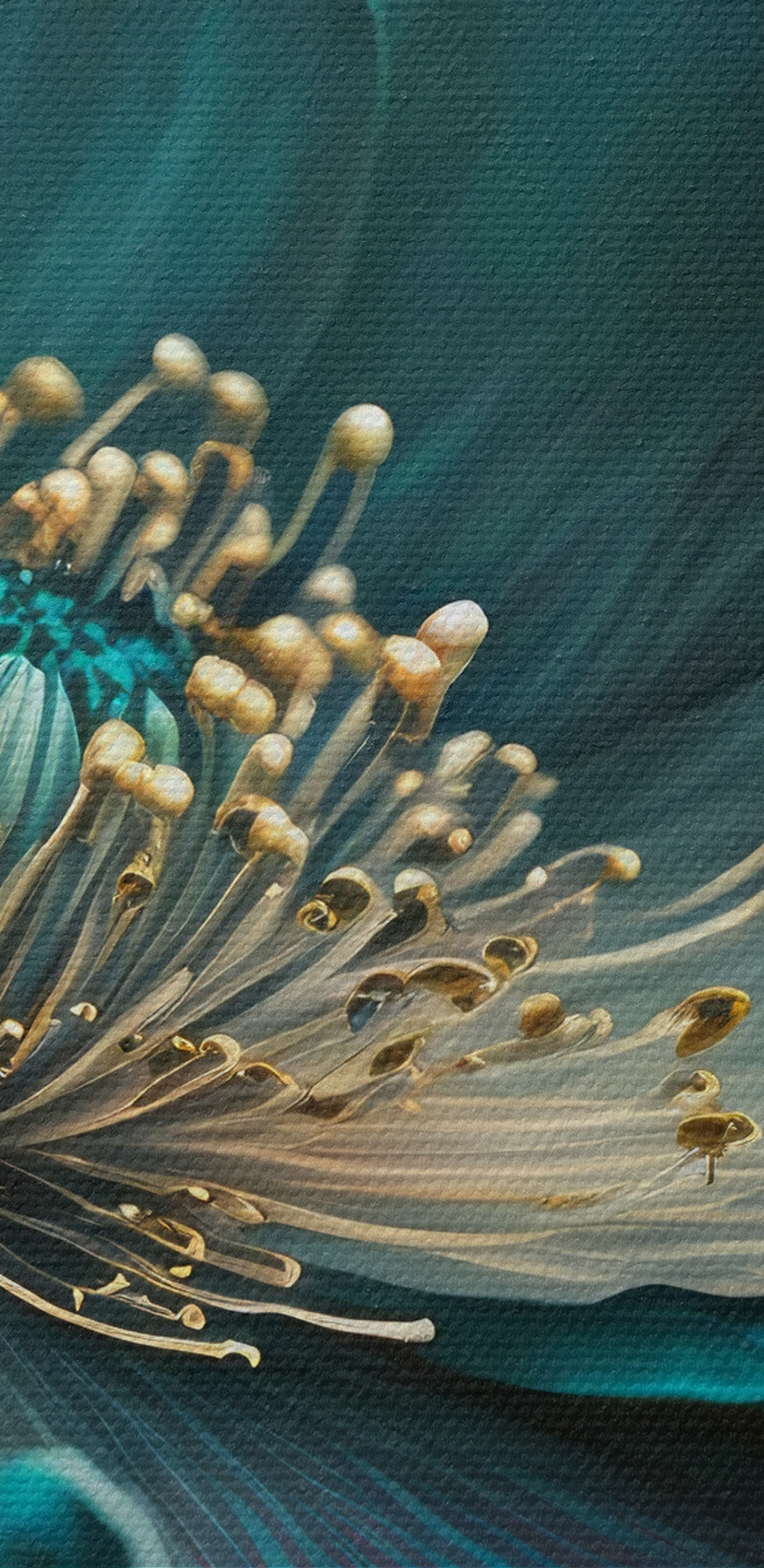 Een close-up van een bloem