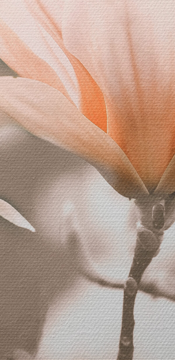 Een groep bloemen aan een tak Een groep bloemen aan een tak