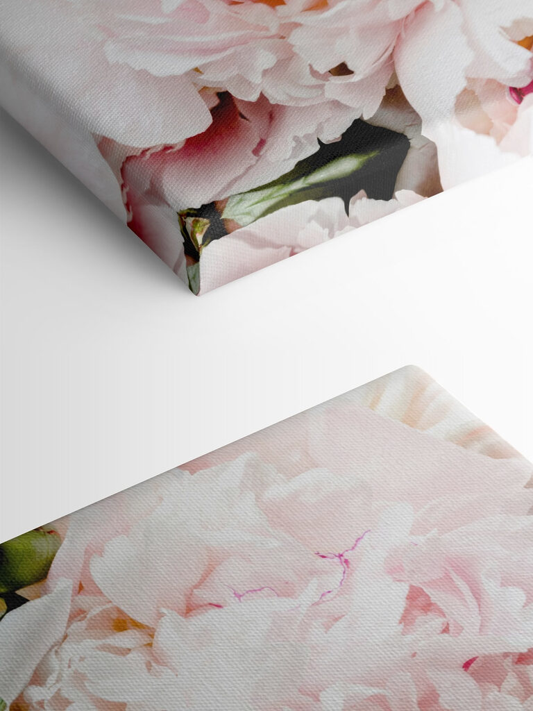 A group of pink flowers A group of pink flowers