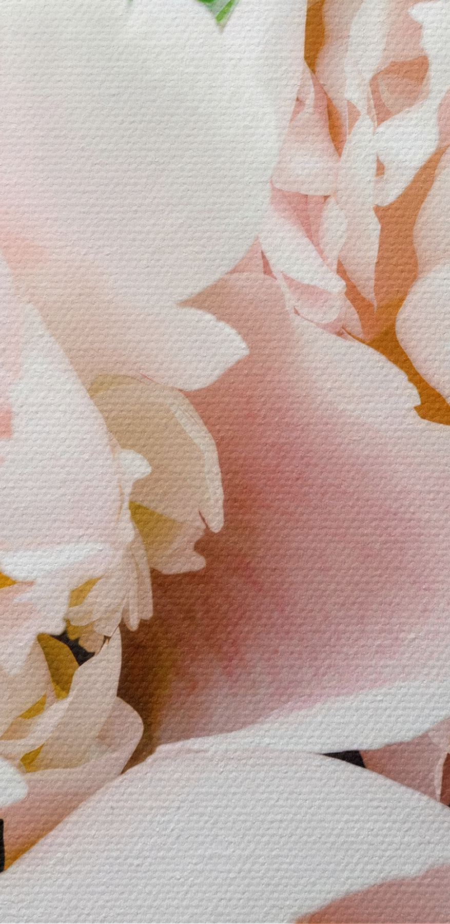 Een groep roze bloemen