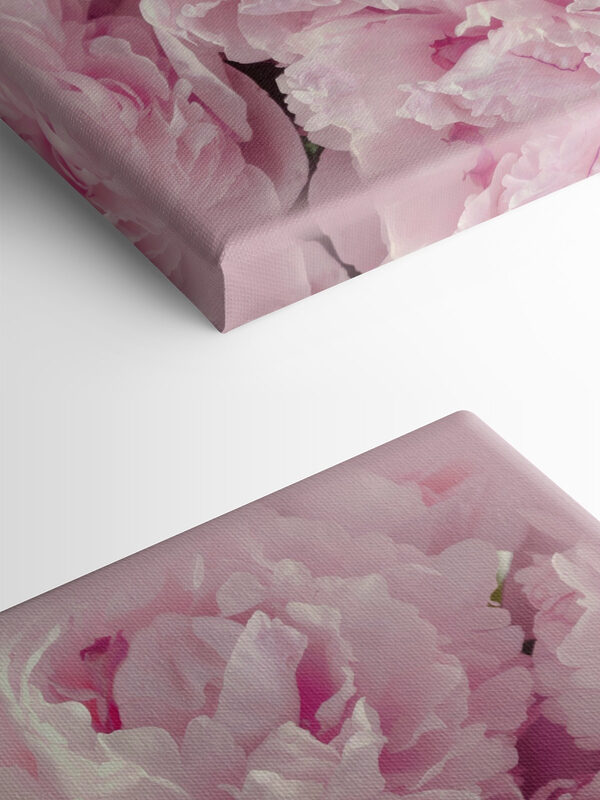 Een groep roze bloemen s35248pmlfn 600x800 - Een groep roze bloemen