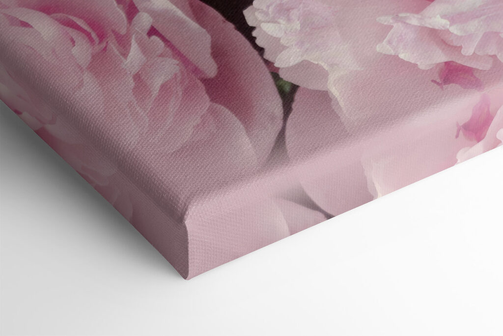 Een groep roze bloemen s35248pml 1024x683 - Een groep roze bloemen