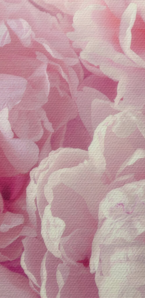 Een groep roze bloemen s35248pzvl 499x1024 - Een groep roze bloemen
