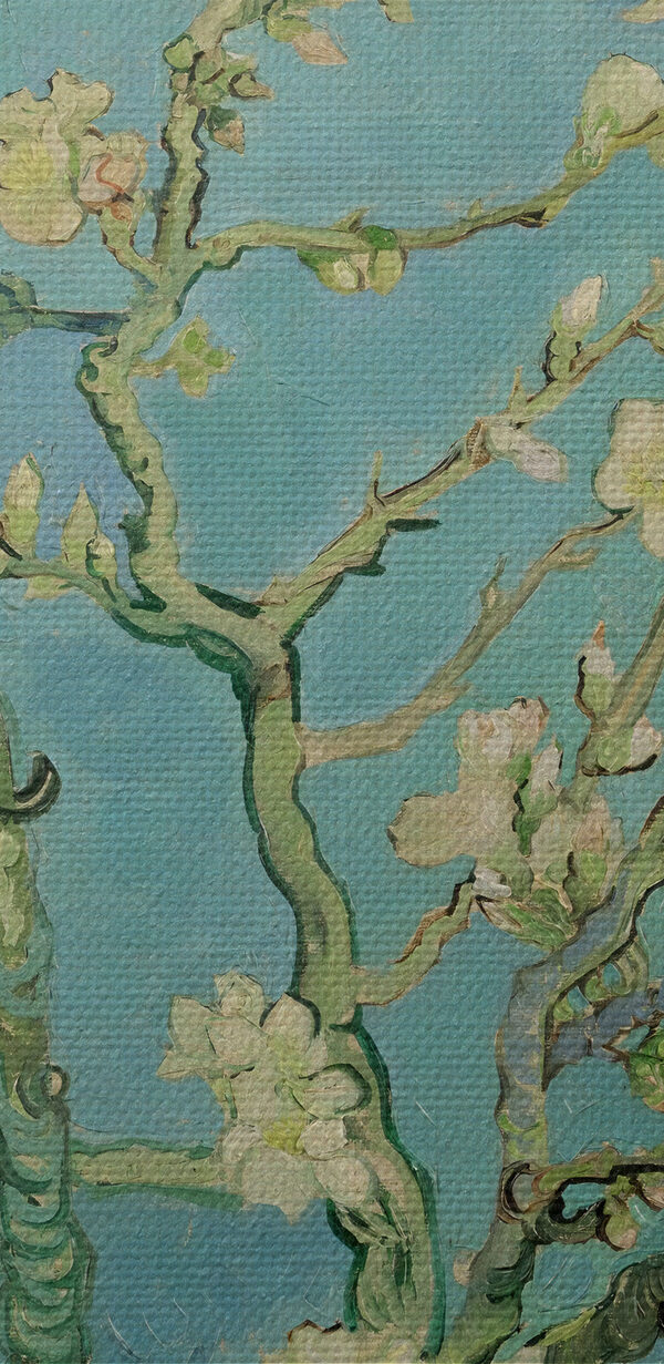 Een schilderij van een boom met witte bloemen Een schilderij van een boom met witte bloemen