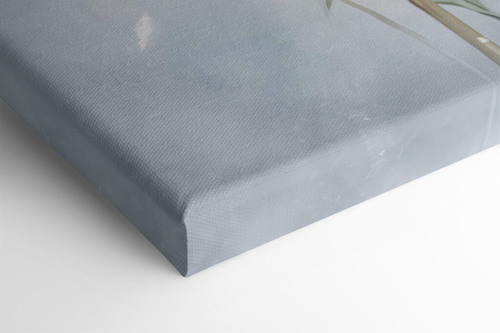 A group of dandelions in a field