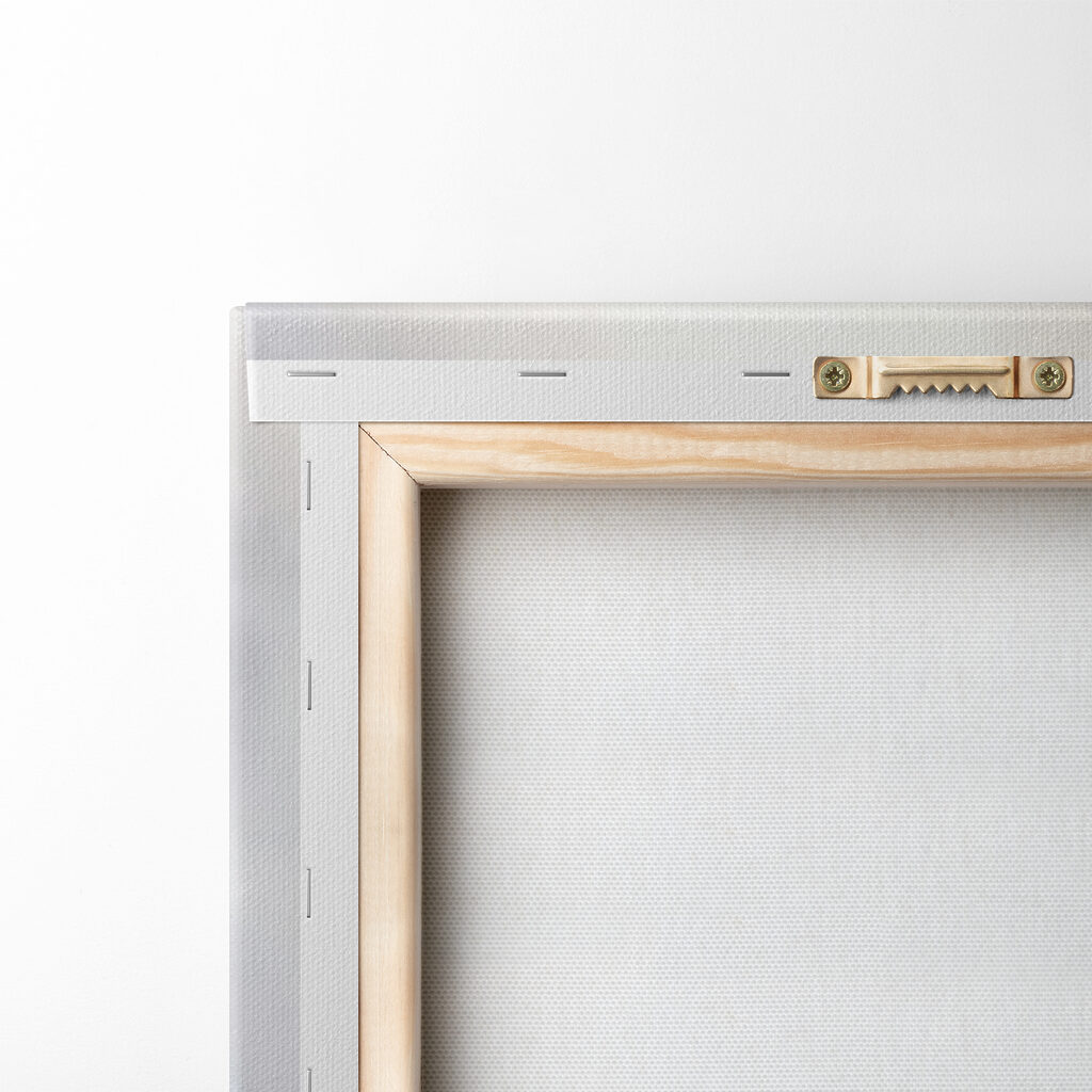 A group of dandelions in a field