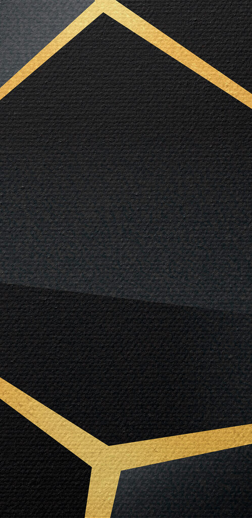 Elegant black geometric design with accents