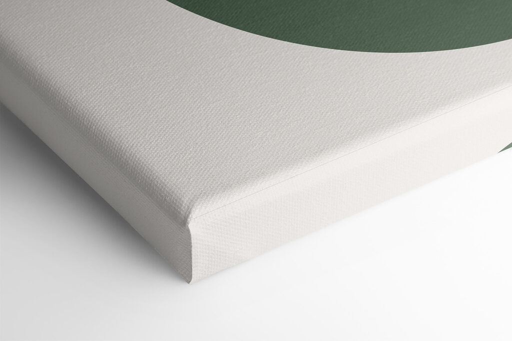 A plant in a bowl A plant in a bowl