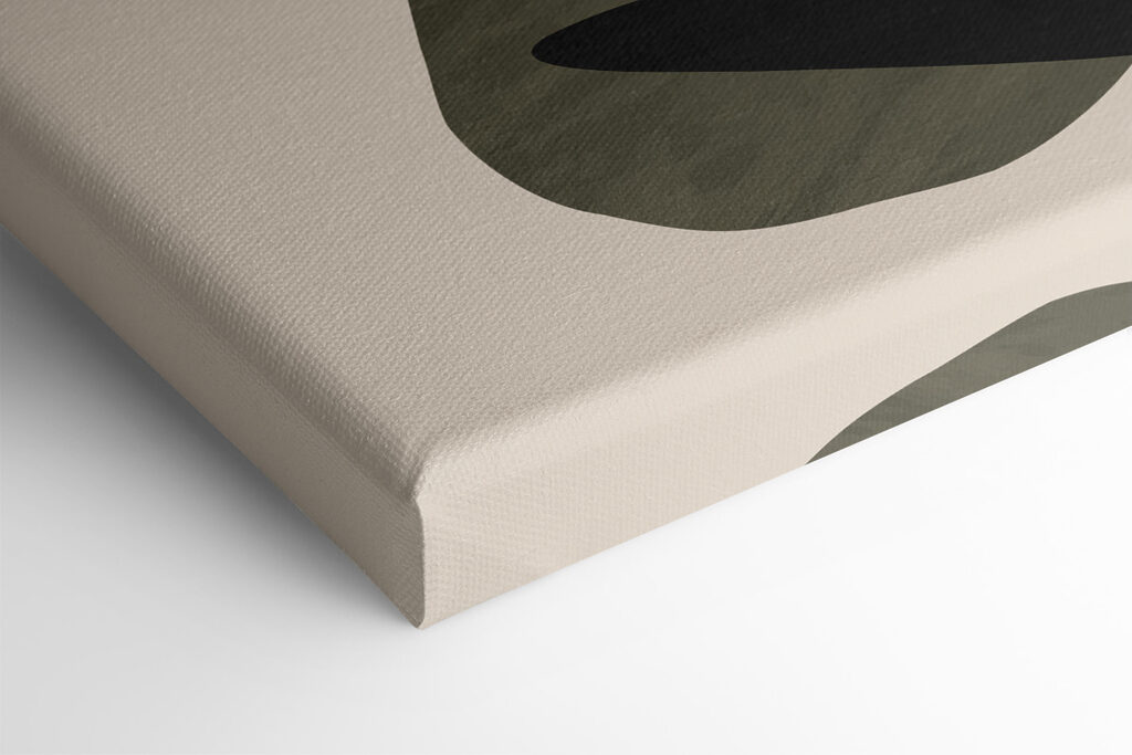 A close up of a plant A close up of a plant