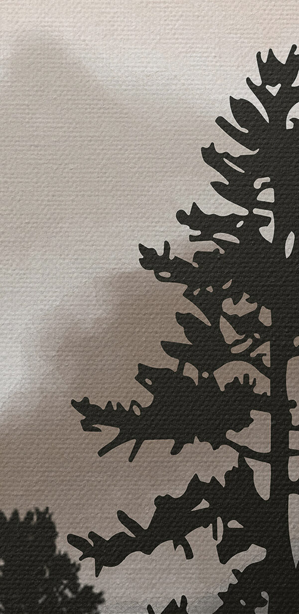 Een groep bomen in de mist Een groep bomen in de mist