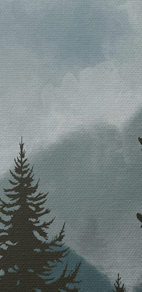 A group of trees in a forest