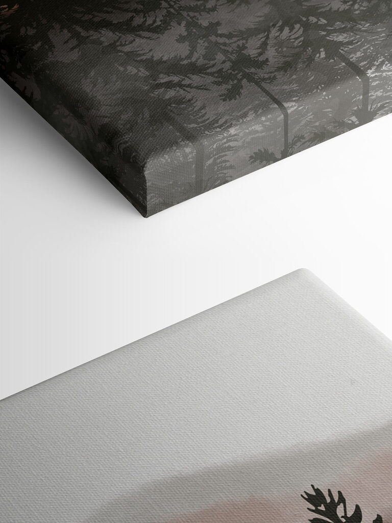 A group of trees in a forest