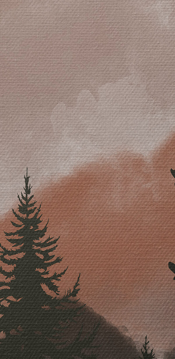 Een groep bomen in een bos Een groep bomen in een bos