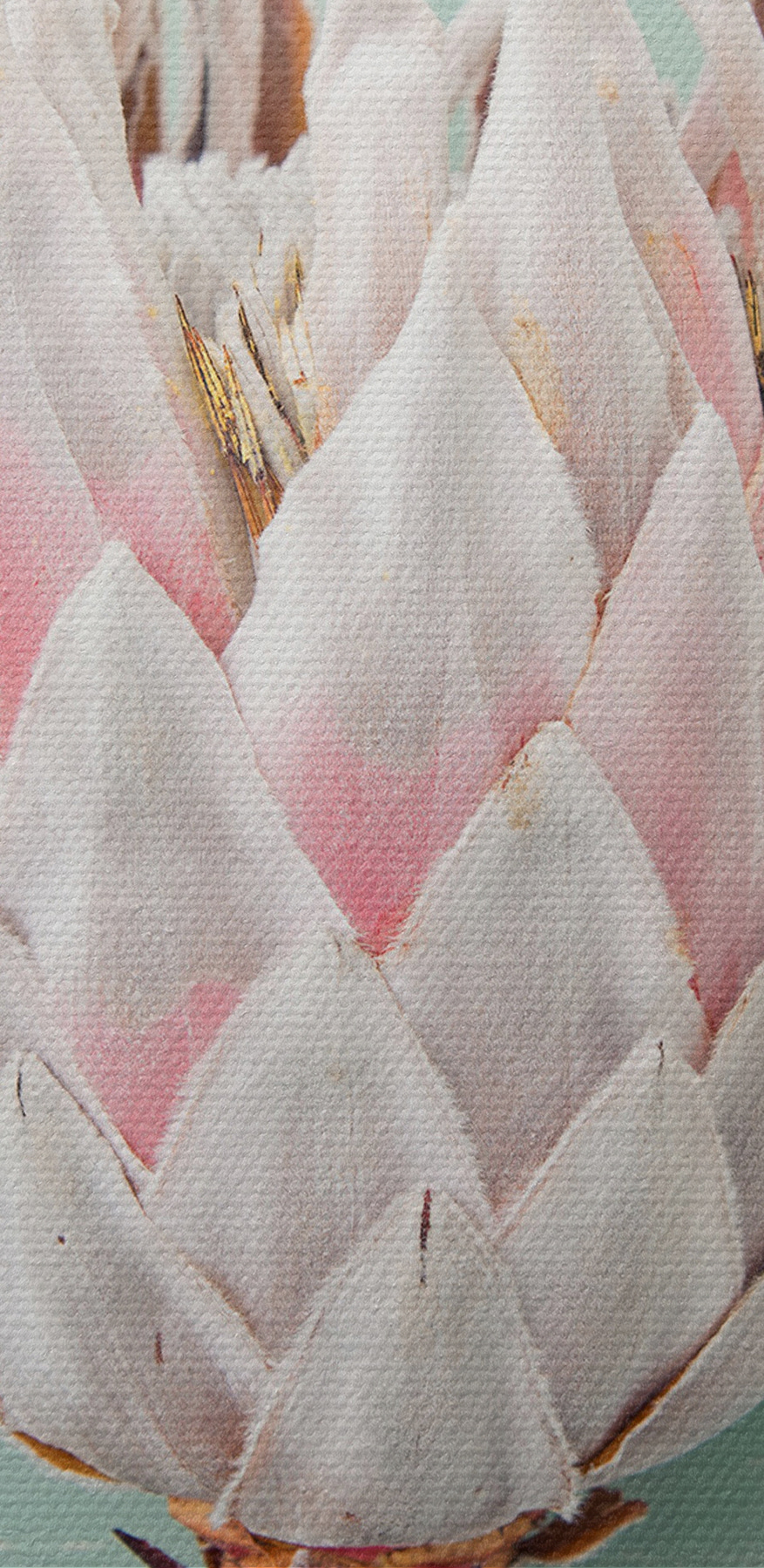 Een bloem op een stok