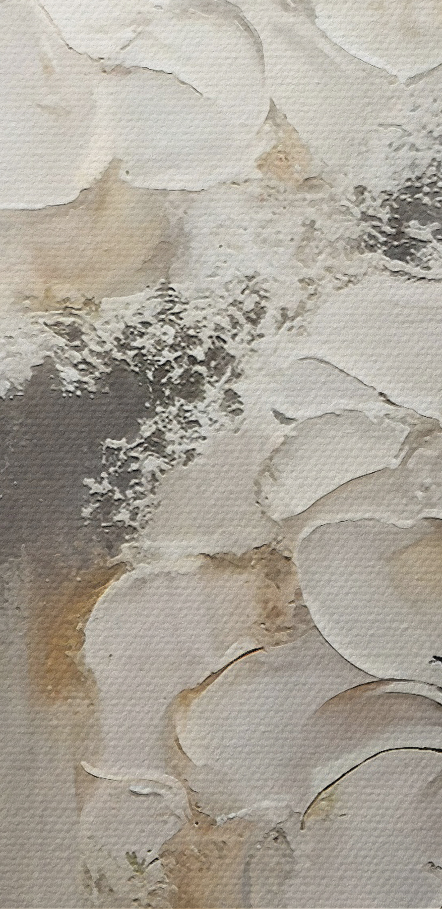 Een schilderij van witte bloemen