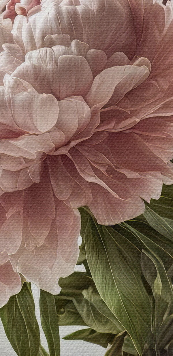 A vase of pink and white flowers A vase of pink and white flowers