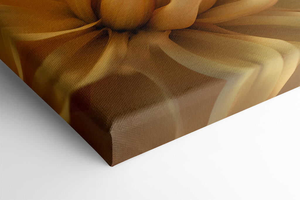 A close up of a flower A close up of a flower