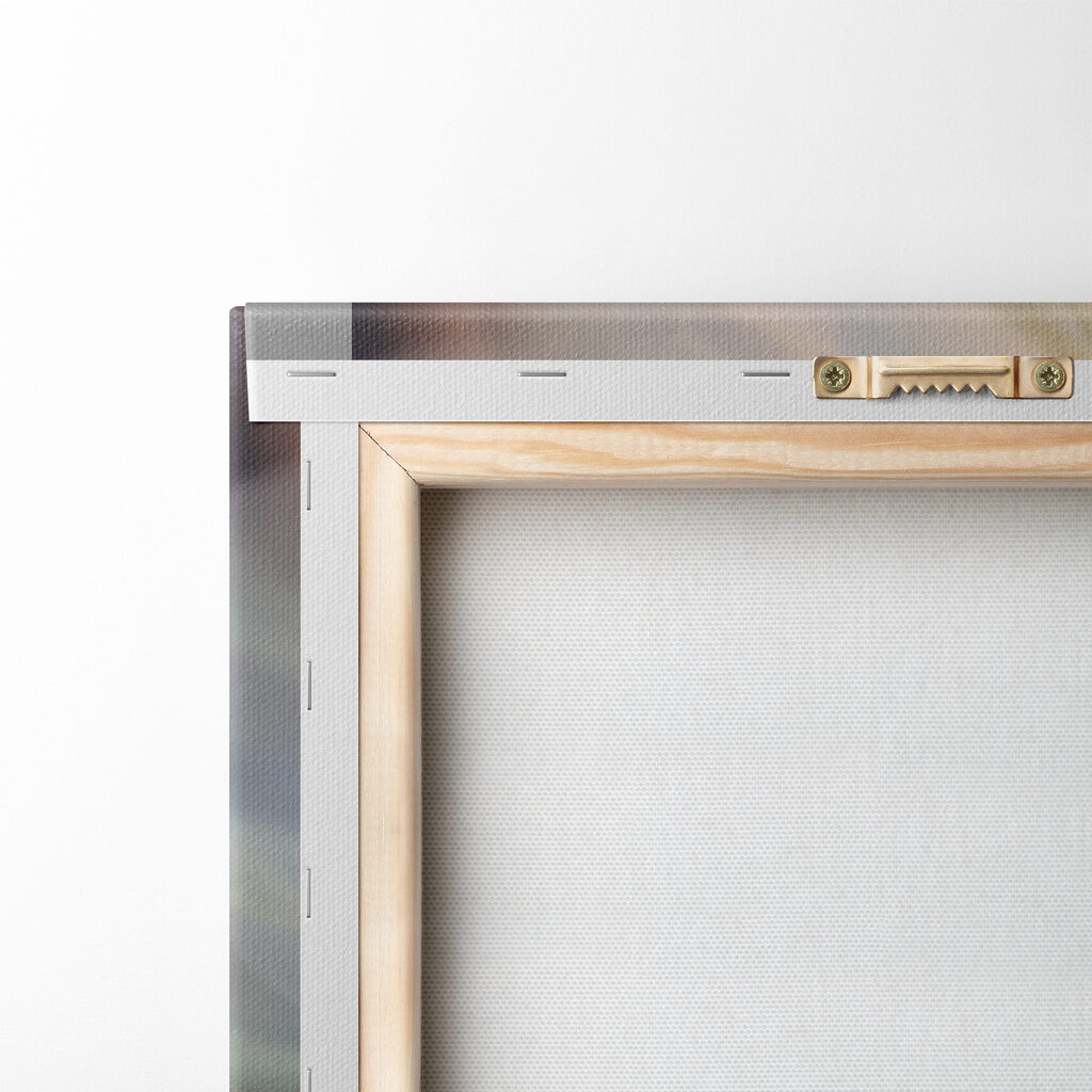 A close up of a flower A close up of a flower