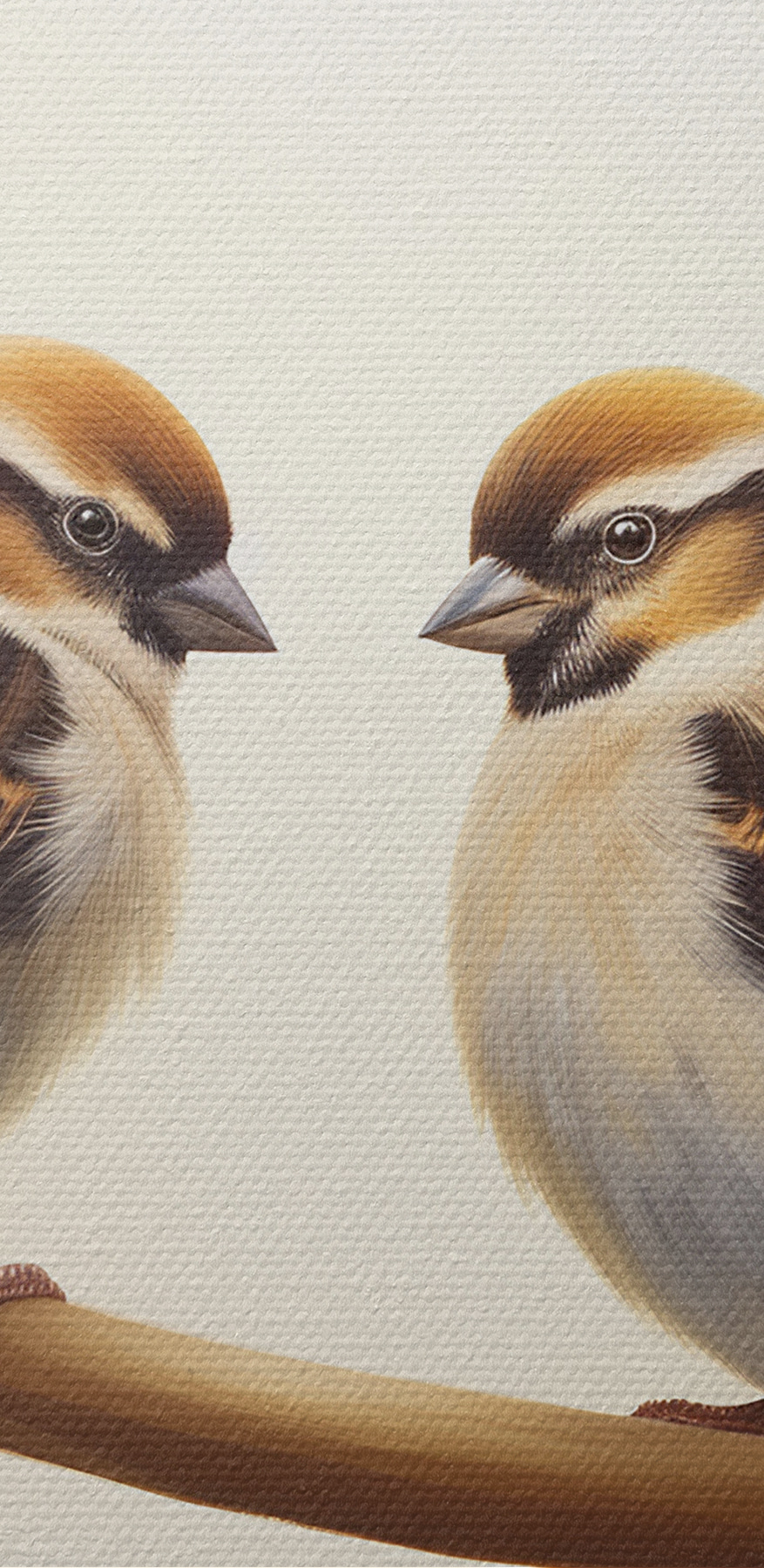 Twee vogels op een tak Twee vogels op een tak