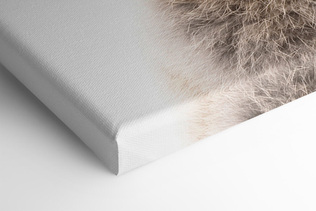 A rabbit with a bubble gum