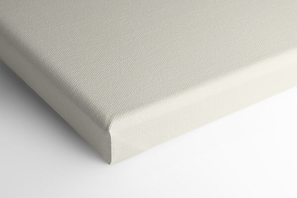 A cartoon of animals in a car