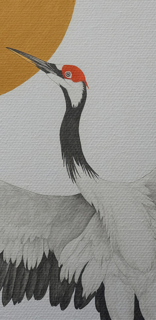 Kraanvogel danst onder stralende zon. Kraanvogel danst onder stralende zon.
