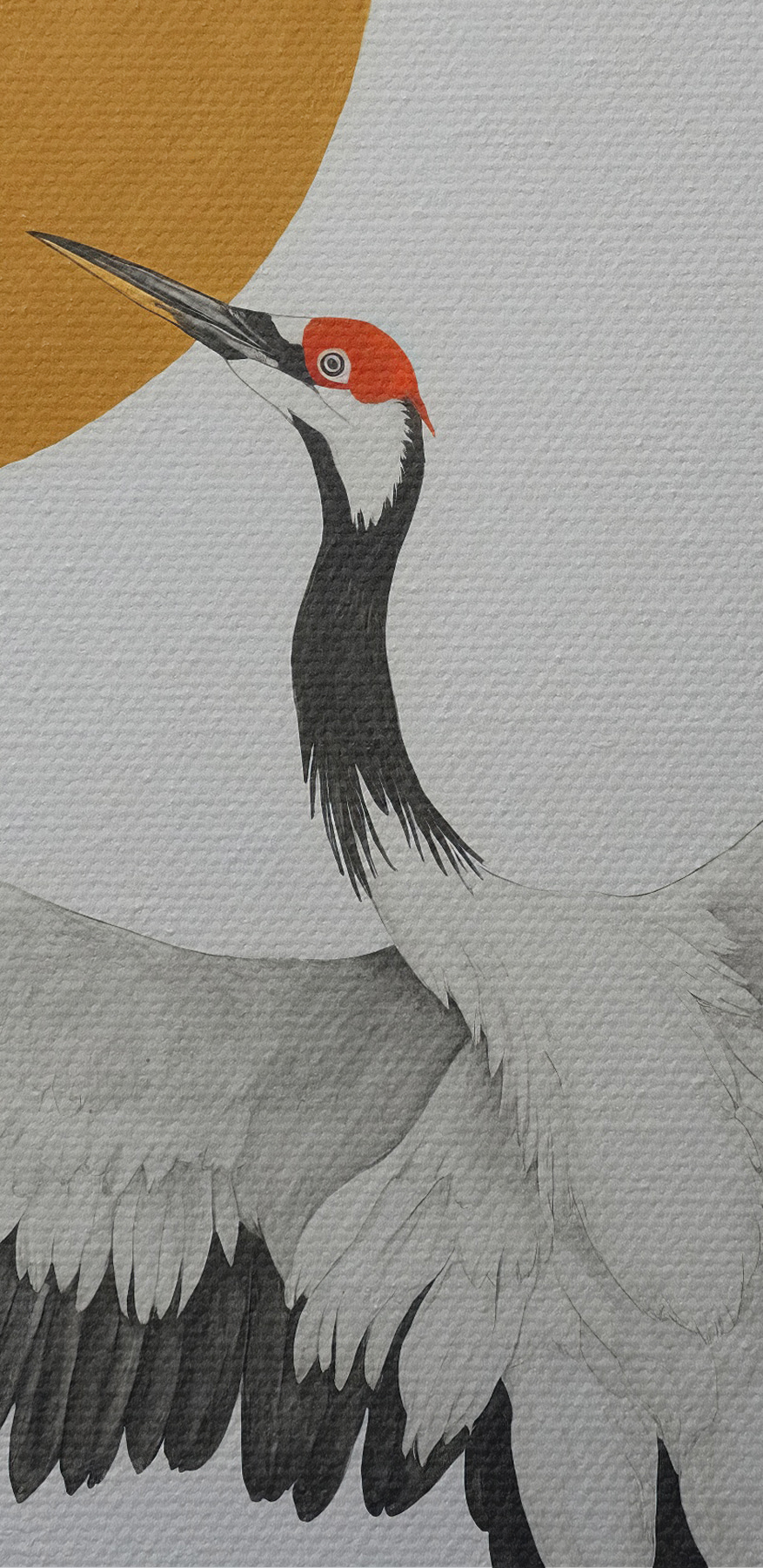 Kraanvogel danst onder stralende zon.