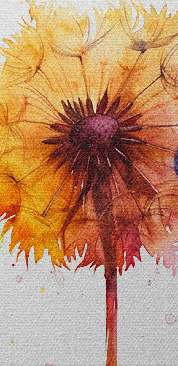 Een groep kleurrijke paardenbloemen Een groep kleurrijke paardenbloemen