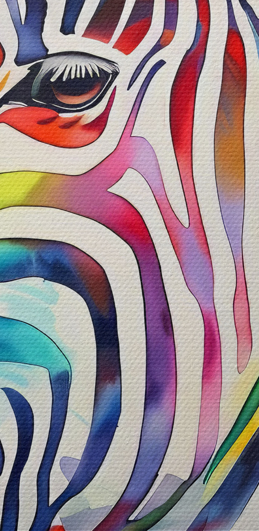 Een kleurrijke zebra met regenboogkleuren