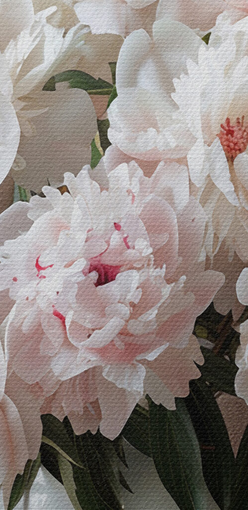 A vase of white flowers