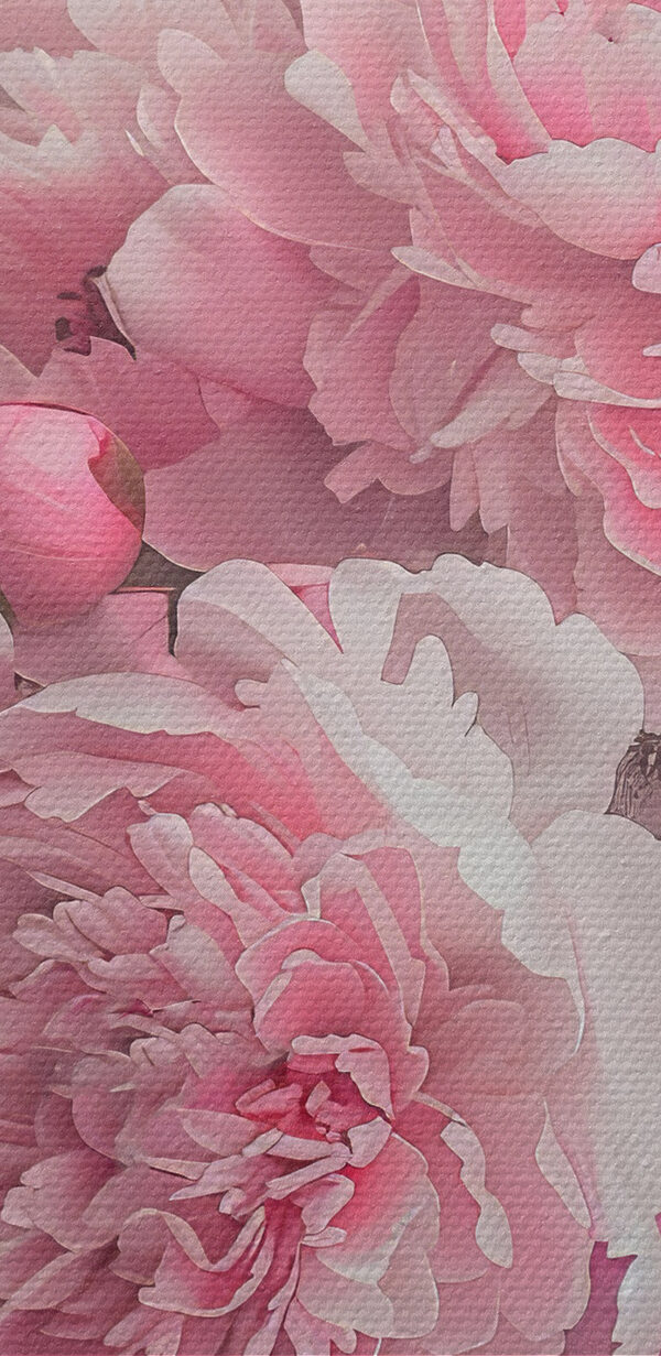 Een bos roze bloemen Een bos roze bloemen