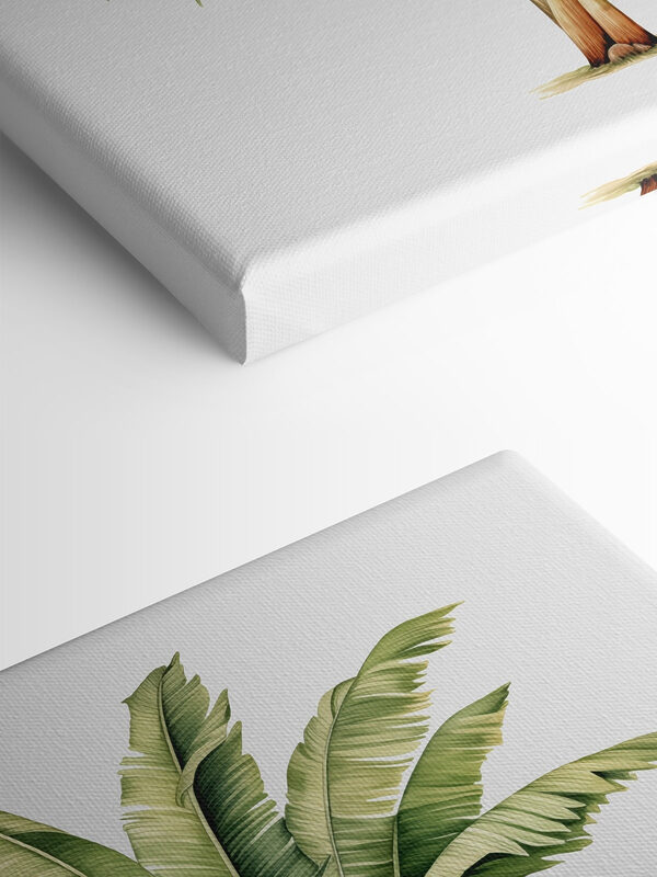 Palmboom met grote bladeren Palmboom met grote bladeren