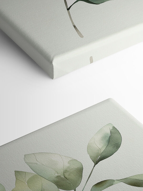 Groene bladplant met witte achtergrond Groene bladplant met witte achtergrond