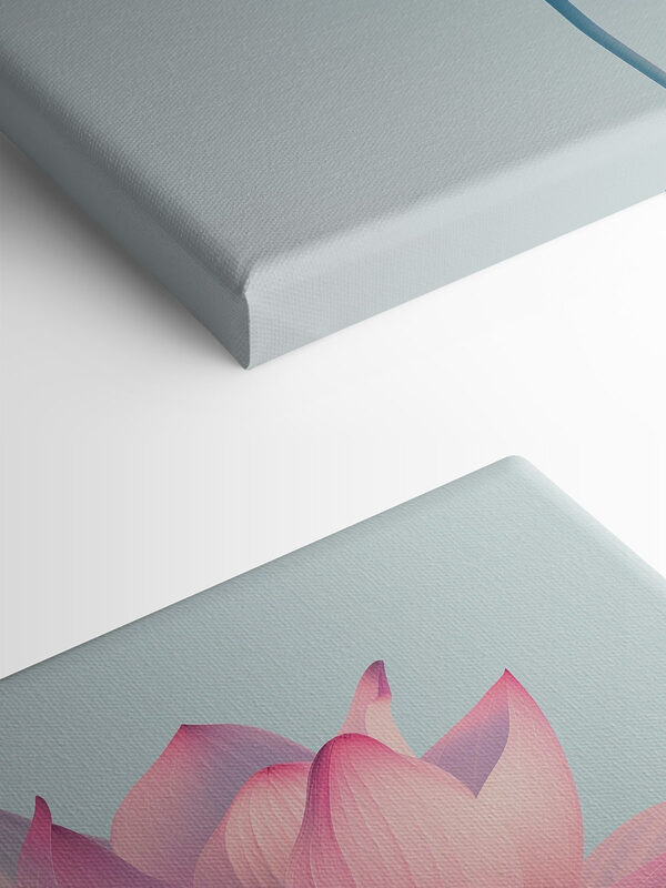 Roze en witte bloem Roze en witte bloem
