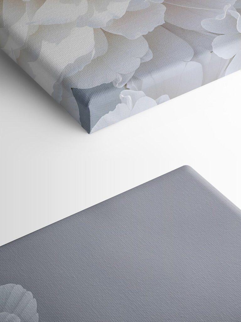 Close up of white flowers Close up of white flowers