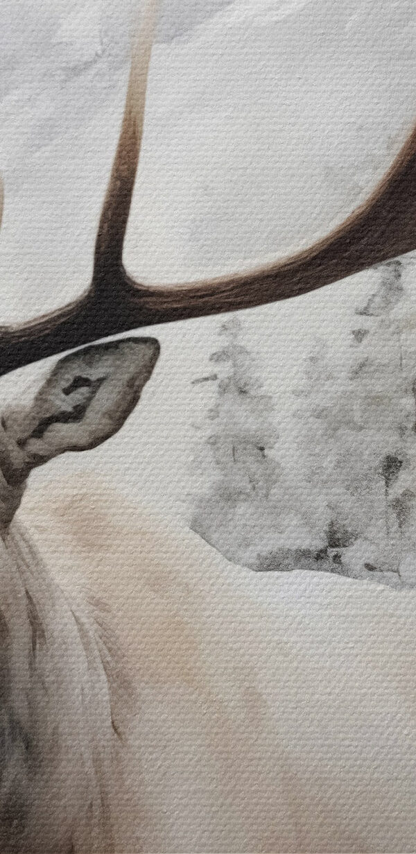 Eland met groot gewei in een besneeuwd bos Eland met groot gewei in een besneeuwd bos