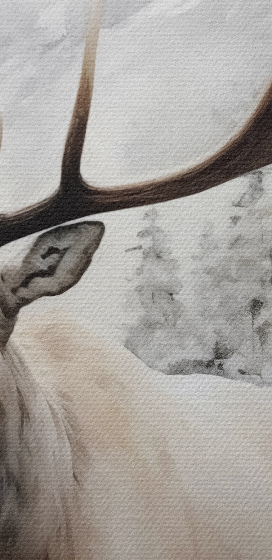 Eland met groot gewei in een besneeuwd bos