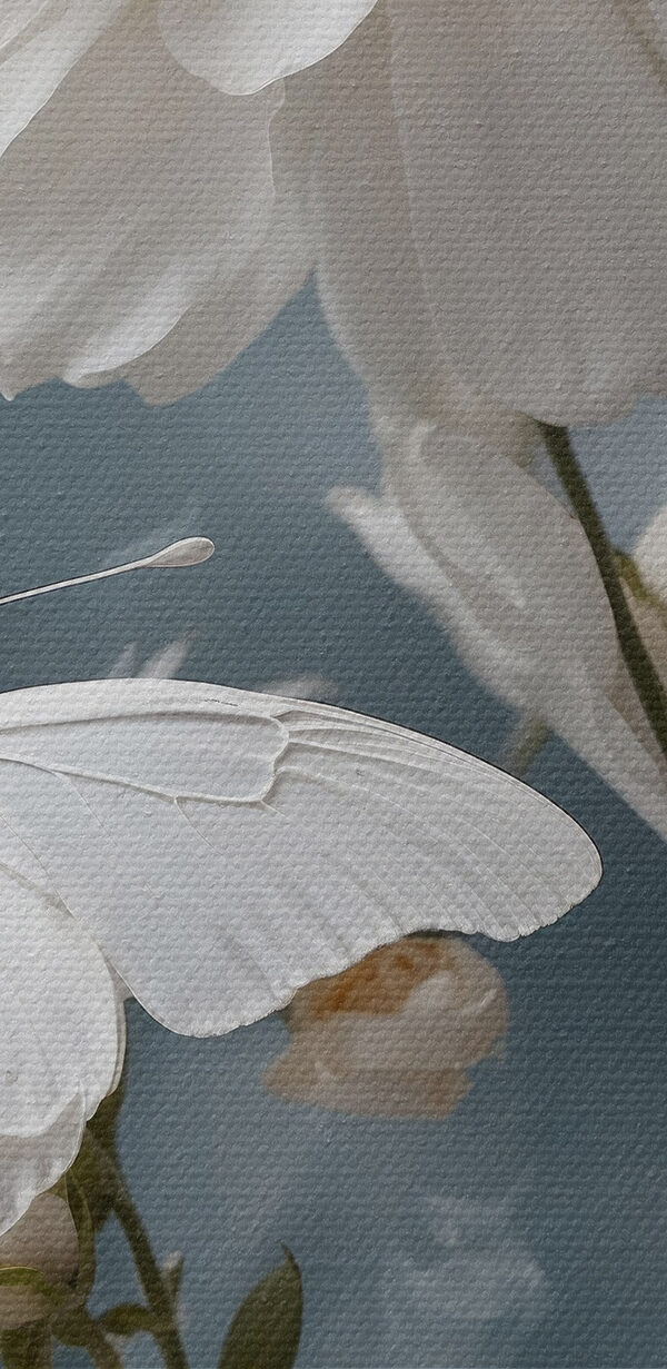 Vlinder op een bloem Vlinder op een bloem