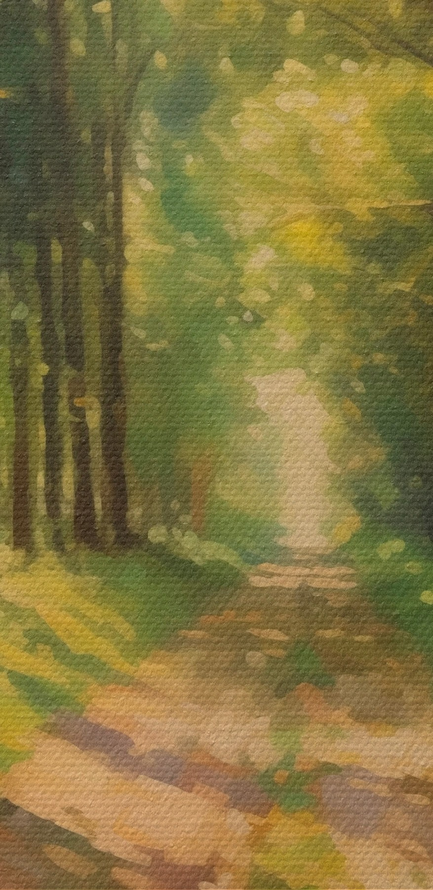 Zandweg door een bos Zandweg door een bos