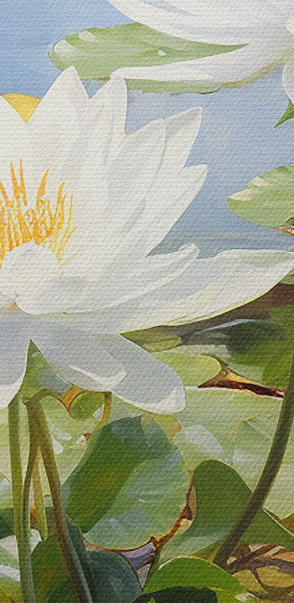 Groep witte bloemen in een vijver Groep witte bloemen in een vijver