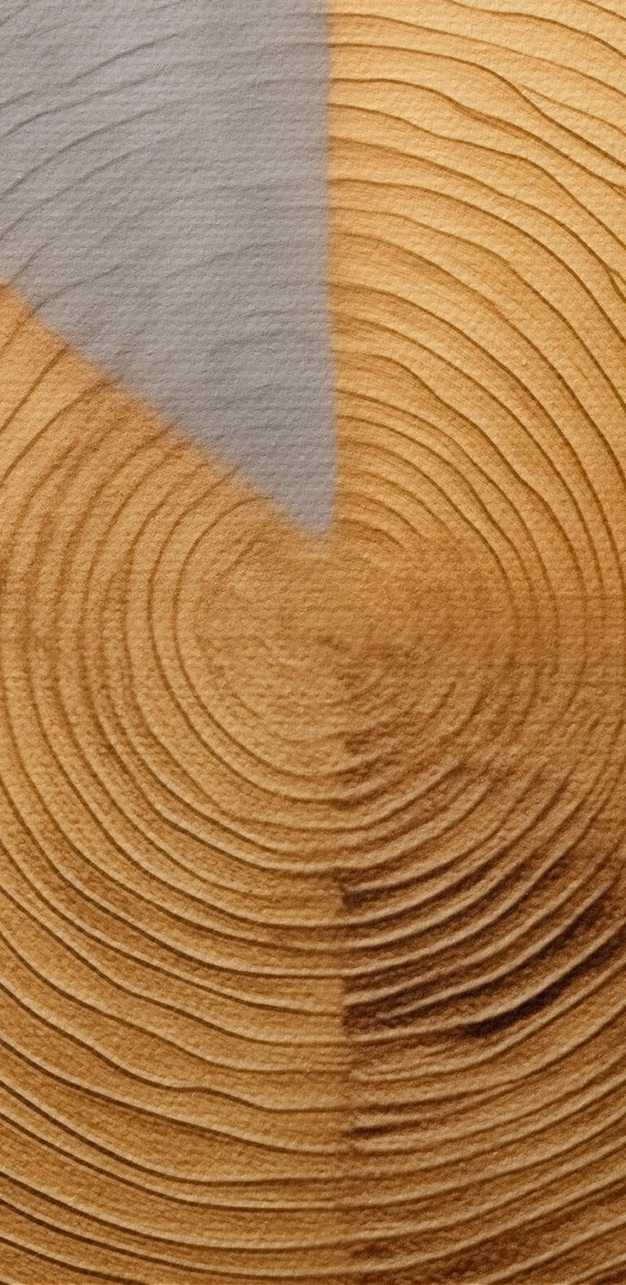 Gestructureerde cirkels in contrasterende tinten.
