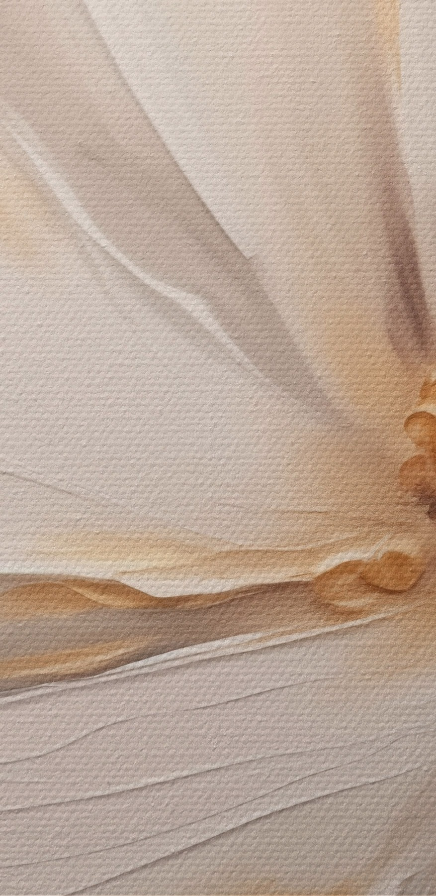 Schilderij van een witte bloem Schilderij van een witte bloem