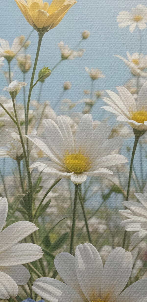 Groep vlinders vliegend over een veld met bloemen Groep vlinders vliegend over een veld met bloemen