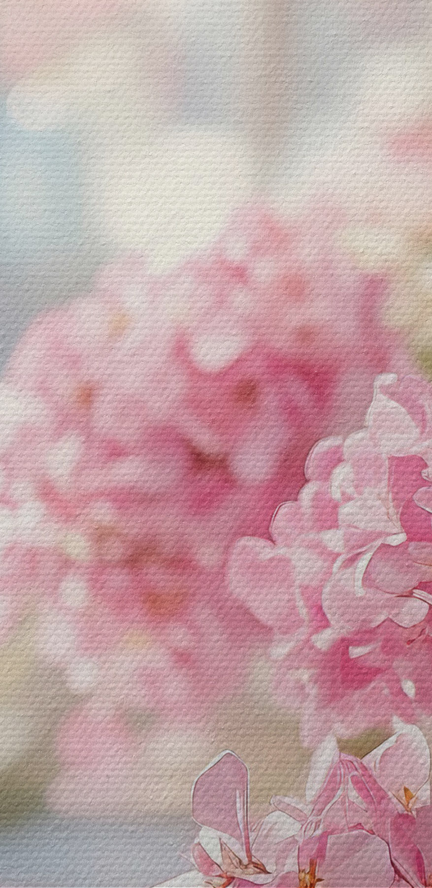 Bunch of pink flowers Bunch of pink flowers