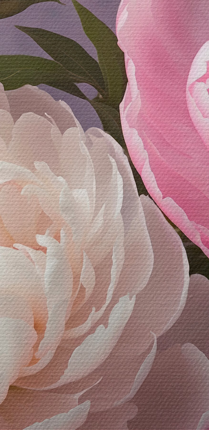 Groep roze en witte bloemen