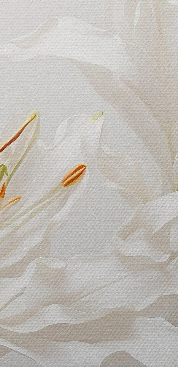 Groep witte bloemen Groep witte bloemen