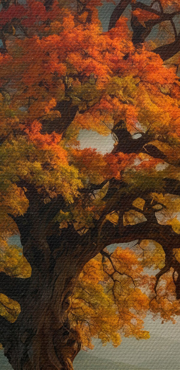 Boom met oranje en gele bladeren op een heuvel Boom met oranje en gele bladeren op een heuvel
