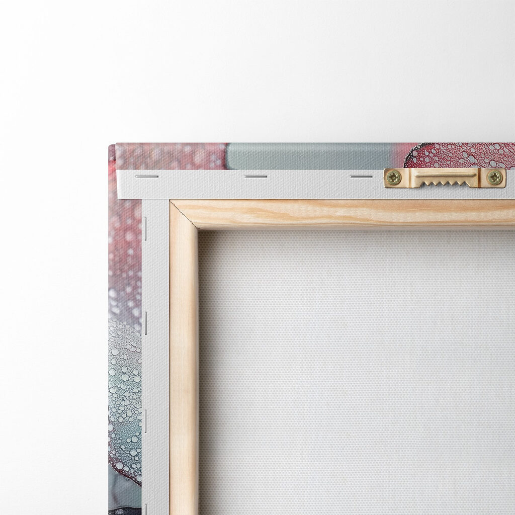 Delicate petals adorned with raindrops