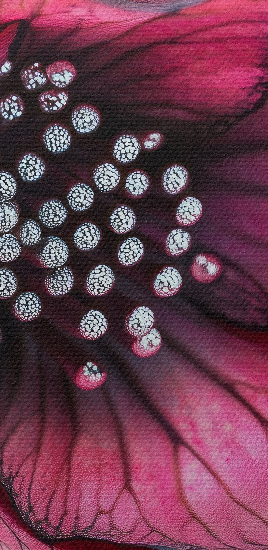 Delicate bloemblaadjes in levendige tinten