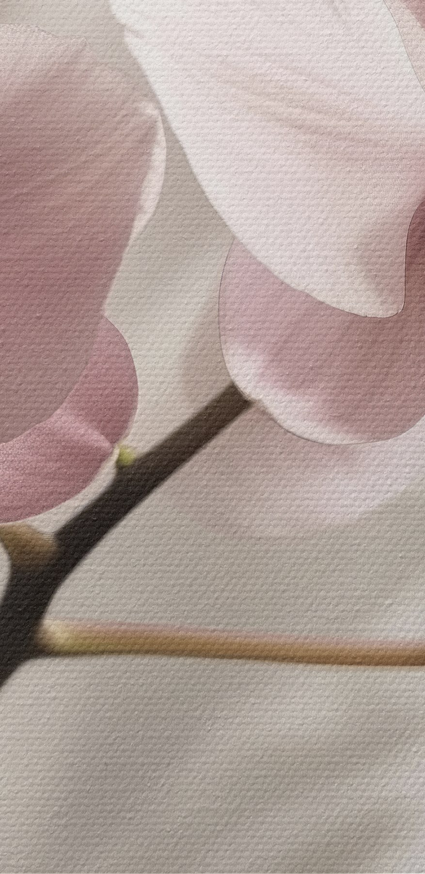 Delicate bloesems in zachte tinten